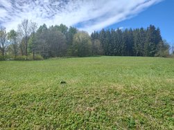 IMG_20240423_131642304_HDR.jpg