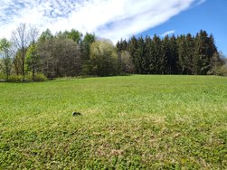 IMG_20240423_131813697.jpg