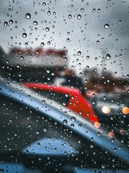 IMG_1484.jpeg