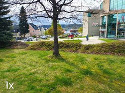 IMG_20240424_092830745_HDR~2.jpg