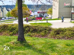 IMG_20240424_092834615_HDR~2.jpg