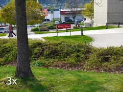 IMG_20240424_092837778_HDR~2.jpg