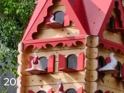 IMG_20240424_095940735~2.jpg