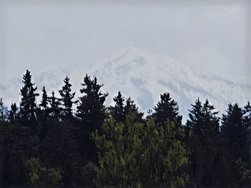IMG_20240425_142145.jpg