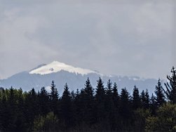 IMG_20240425_142053.jpg