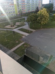 PXL_20240426_054119719.MP.jpg