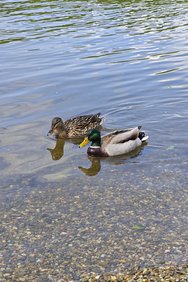 IMG_20240426_162502.jpg