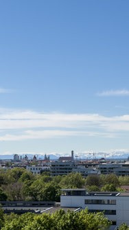 IMG_3811.jpeg