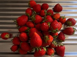 IMG_2285.jpeg