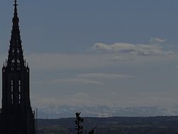 IMG_2286.jpeg