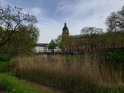 20240427_154430.JPG