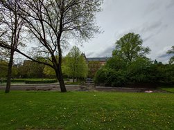 20240427_153223.JPG