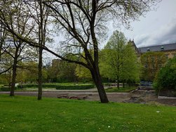 20240427_153215.JPG