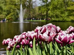 IMG_20240427_141443.jpg