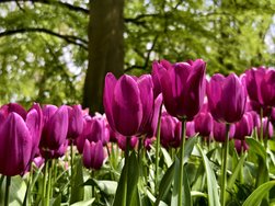IMG_20240427_141115.jpg