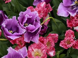 IMG_20240427_130642_1.jpg