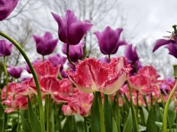 IMG_20240427_130604.jpg
