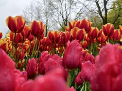 IMG_20240427_125758.jpg