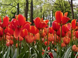 IMG_20240427_125115.jpg