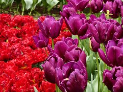 IMG_20240427_122524.jpg