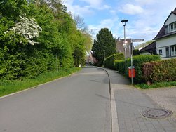 20240427_175407_HDR.jpg