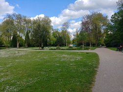 20240427_163603_HDR.jpg