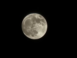 IMG_20240422_223040.jpg