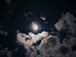 IMG_20240421_222611.jpg