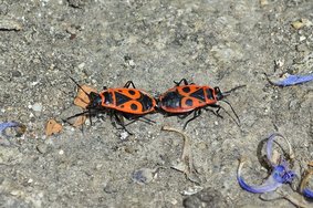IMG_20240428_125907.jpg