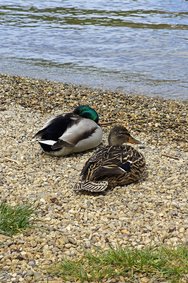 IMG_20240428_130345.jpg