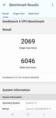 Screenshot_20240428_203301_Geekbench 6.jpg