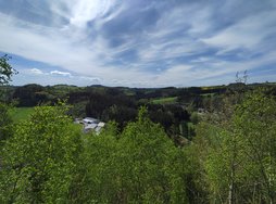 IMG_20240429_132034481_HDR.jpg