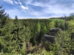 IMG_20240429_152500901_HDR.jpg