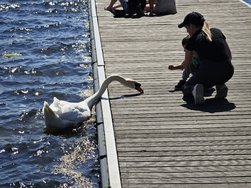 IMG_20240501_131758.jpg