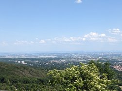 PXL-Falkenstein.jpg