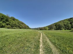 20240430_121215.jpg