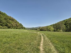 20240430_121211.jpg