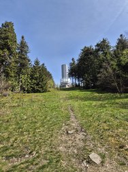20240430_144458.jpg