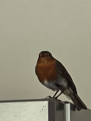 IMG_20240503_154530.jpg