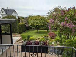 02 P8P 12MP.jpg