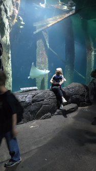 20240428_120859.jpg