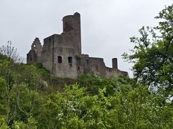 IMG_20240504_104600.jpg