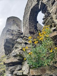 IMG_20240504_105120.jpg