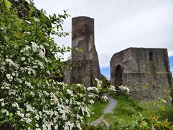IMG_20240504_110620.jpg