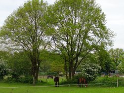 20240504_162152.JPG