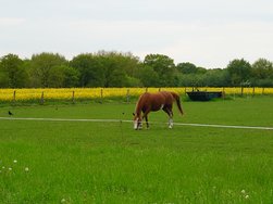 20240504_162746.JPG