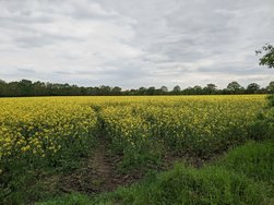 PXL_20240504_160530496.jpg