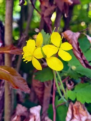 IMG_20240504_150810.jpg