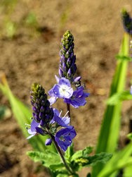 IMG_20240504_161351.jpg
