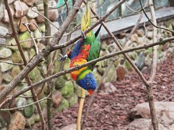 IMG_20240504_120323.jpg